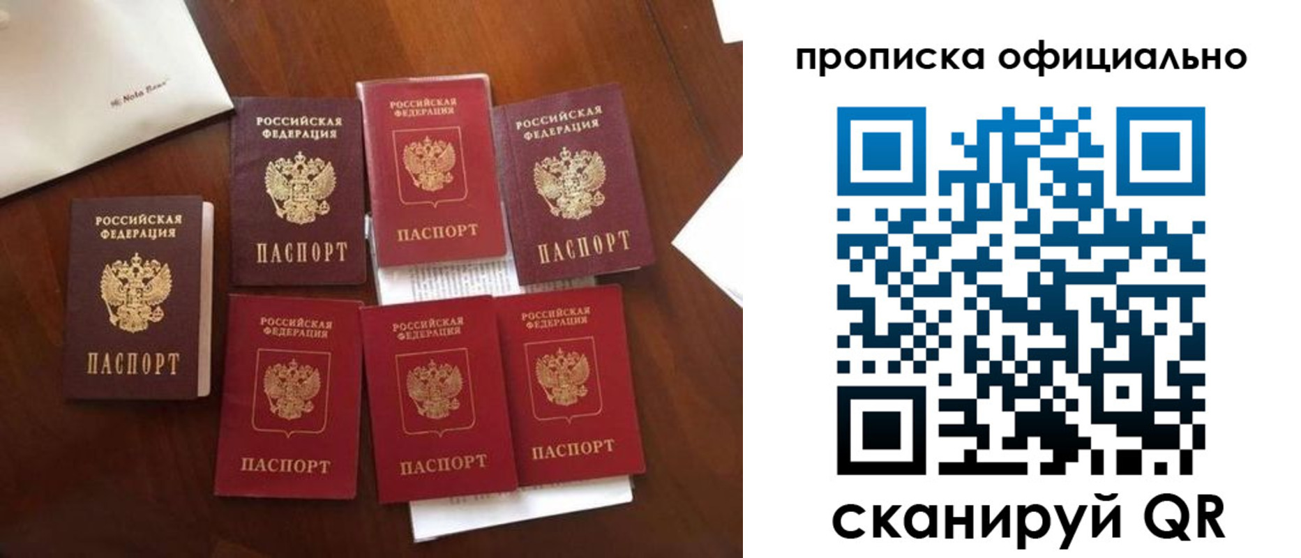 прописка законно в Павловске